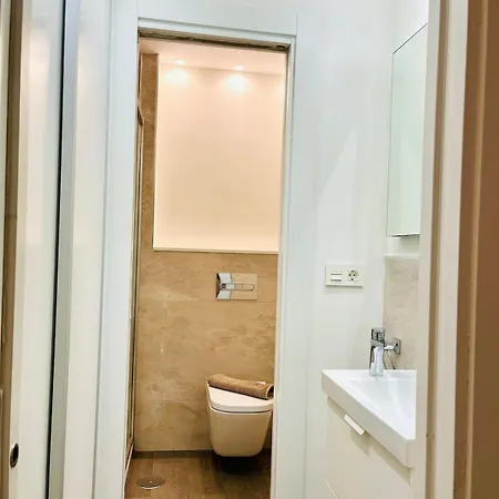 And Spacious Apartment-historic Center Apartment *